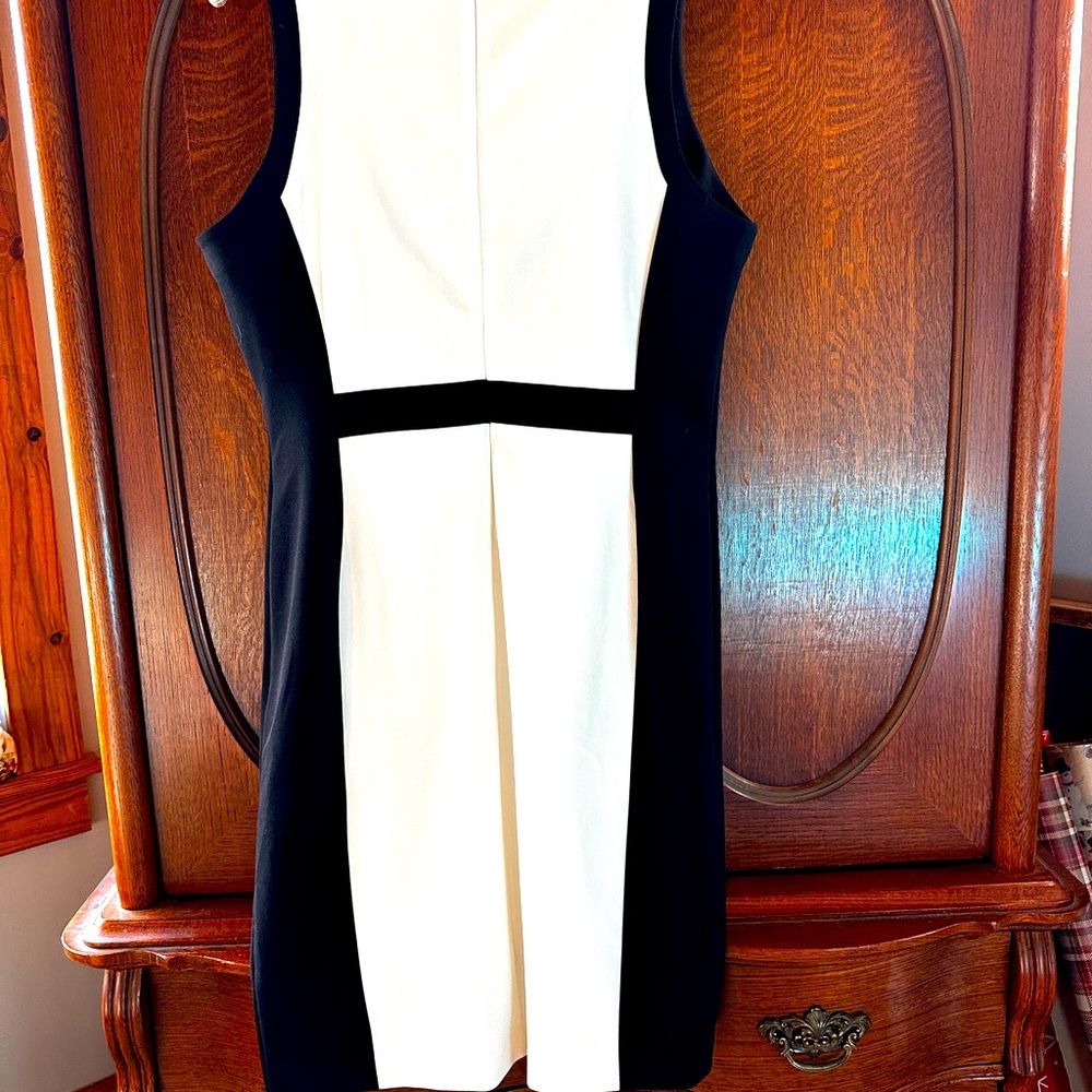 NWT Liz Claiborne Career Color block sheath sleeveless dress size 12 black ivory - Picture 4 of 5